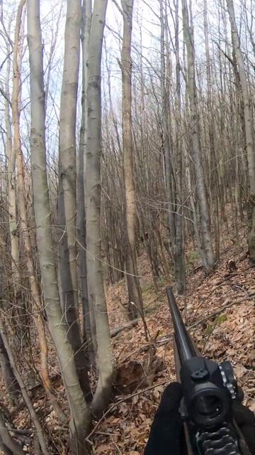 WILD BOAR HUNTING / SHOOTING 🐗 Lov na Divlju svinju #hunting #chasse #shorts #caccia #hog #hunter смотреть онлайн