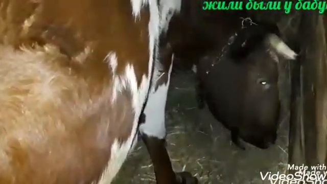жили были у бабуси...утренний релакс смотреть онлайн