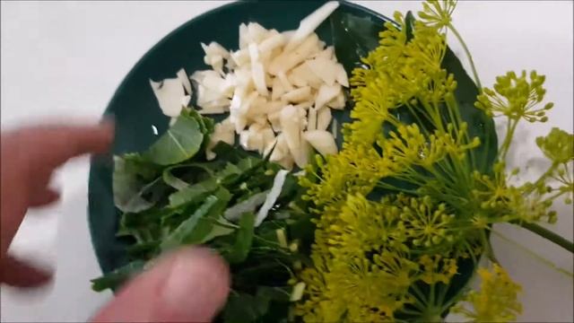 Грузди соленые рецепт смотреть онлайн