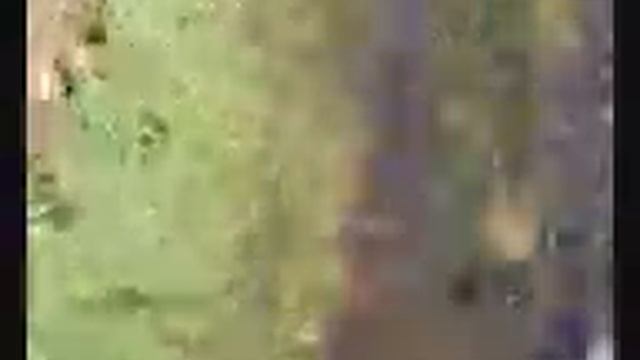 Hack :) смотреть онлайн