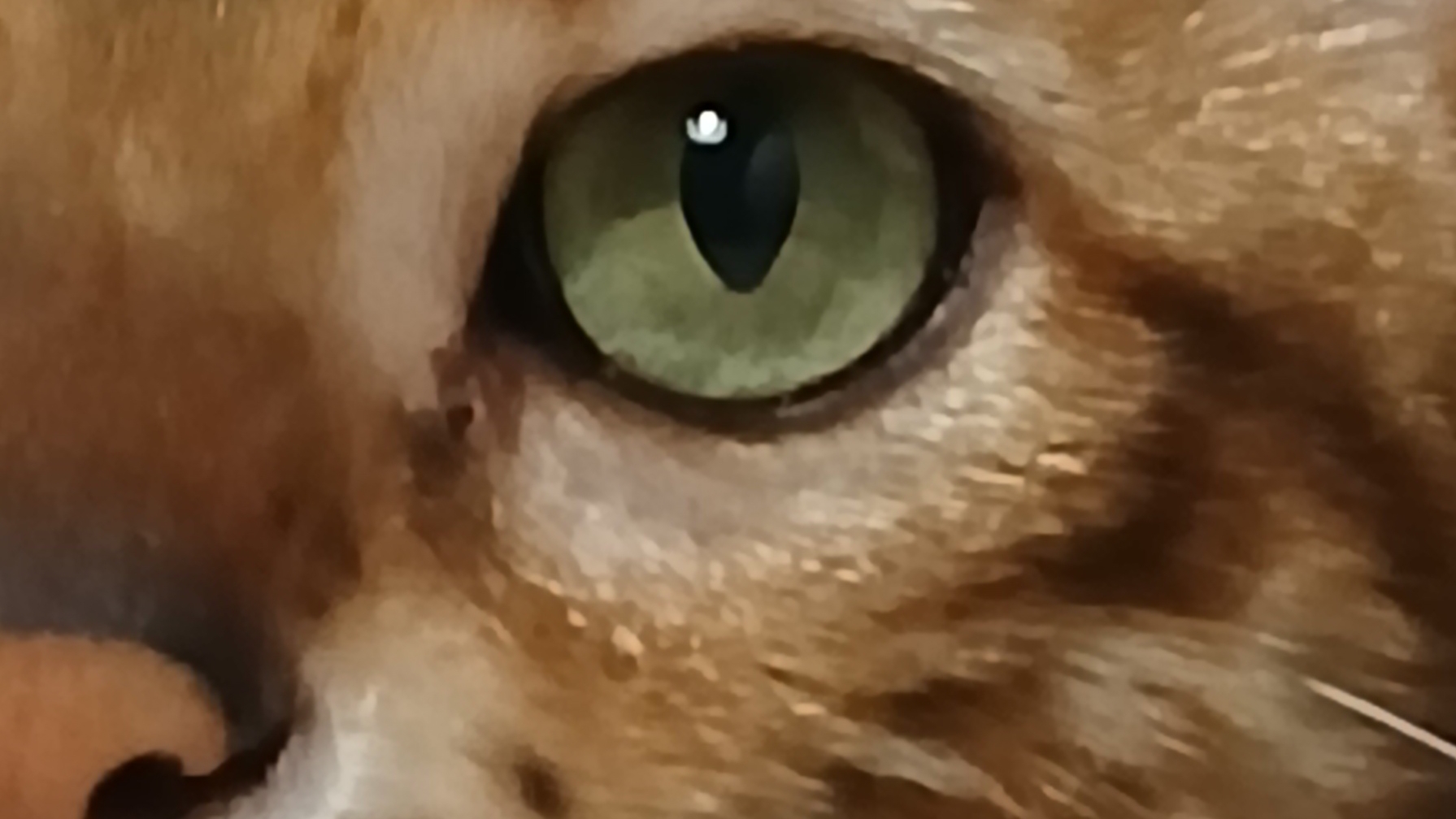 🥢🥢🥢 магия монтажа смотреть онлайн