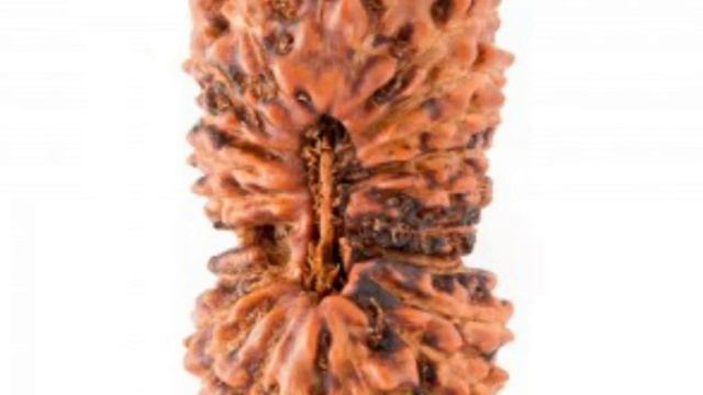RUDRAKSHA shop
Rudraksha Indonesia
(022) 87783191
Pusat Penjualan Rudraksha
https://g.co/kgs/5KqDVB смотреть онлайн