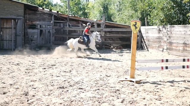 Тренировка. Лесная Песня. смотреть онлайн