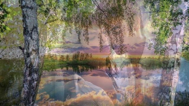 Untitled_1920x1080 СВЕТ берёз - свет Любви !