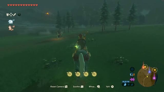 #133 - A Hint Of Serenity — Monya Toma Shrine || Zelda: Breath of the Wild (100%) смотреть онлайн