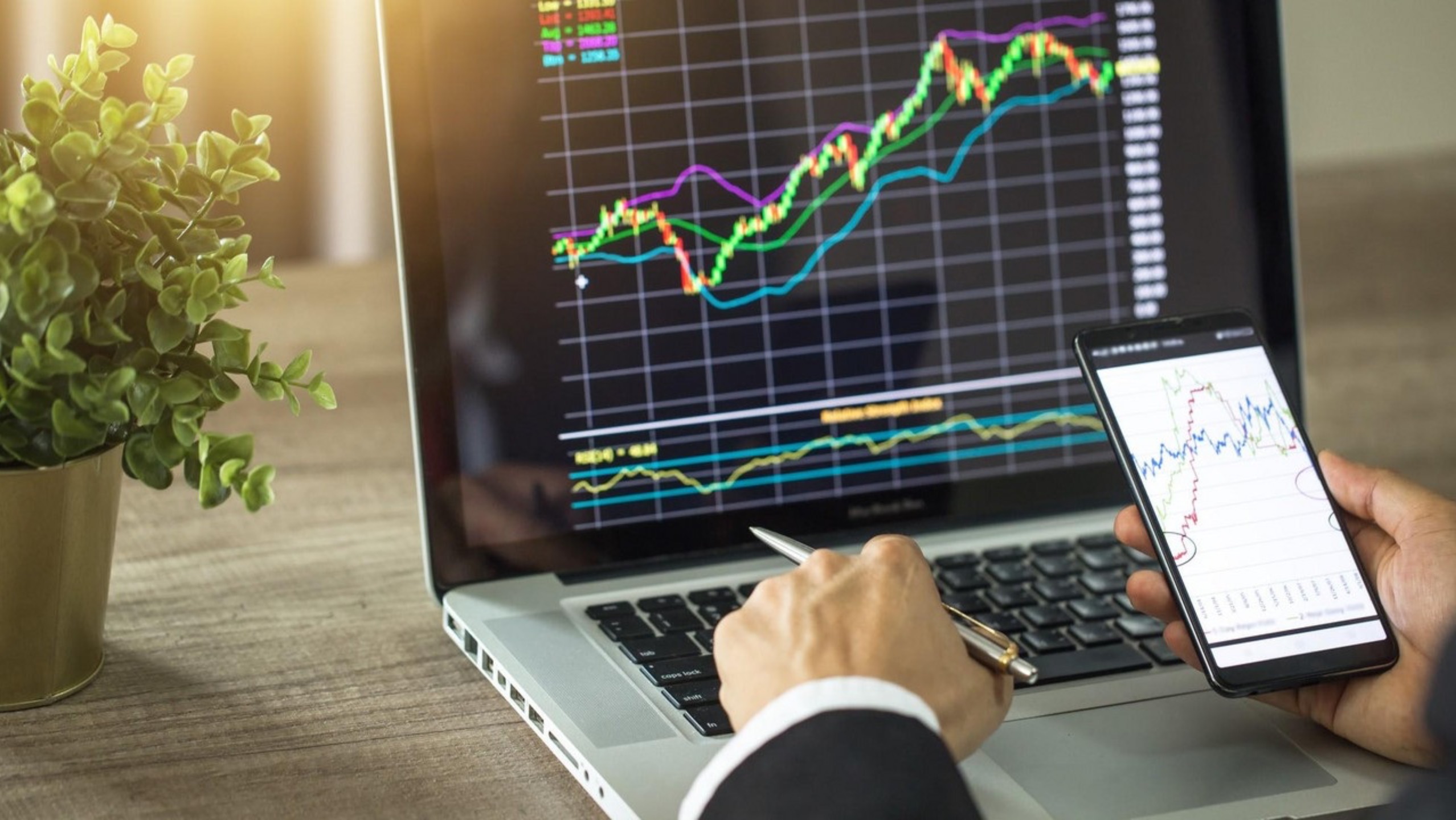 Как собрать Дивидендный Портфель и разобраться в акциях? смотреть онлайн