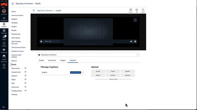 Audio to Text via Canvas Studio смотреть онлайн