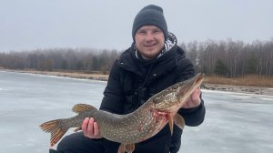 Мартовские Самки