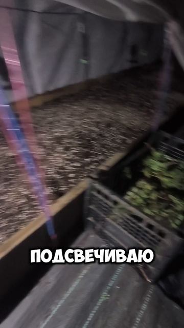 Черенкую даже ночью😅 смотреть онлайн