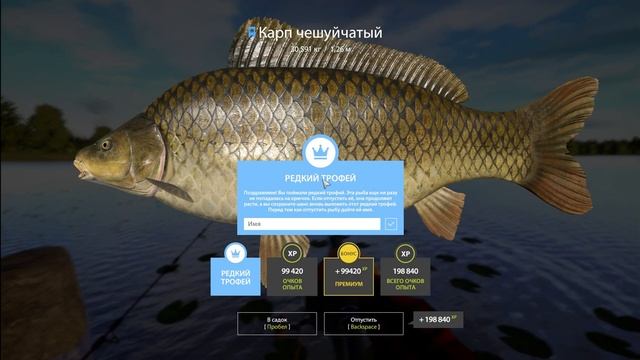 124 66.169 83 мидии и специи смотреть онлайн