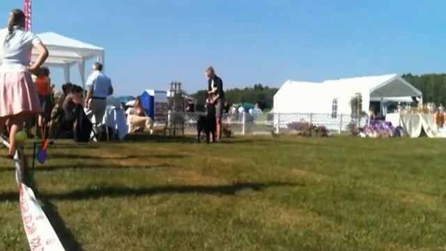 IMG 0634 смотреть онлайн