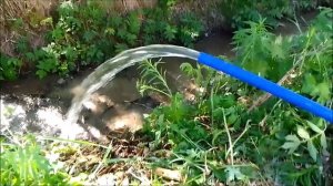 ПРИЯТНЫЙ САМОИЗЛИВ СКВАЖИНЫ. Кому хорошо, а кому плохо! Vyborg district-САМОИЗЛИВНАЯ СКВАЖИНА. УРА