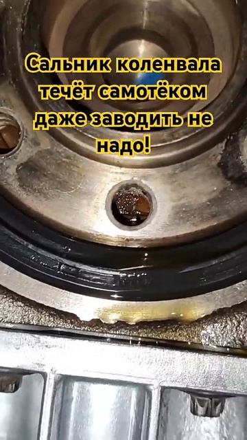 Сальник коленвала течёт самотёком даже запускать ДВС не надо! смотреть онлайн