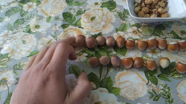 Фундук галле собран сравнение трапезунд и халле смотреть онлайн