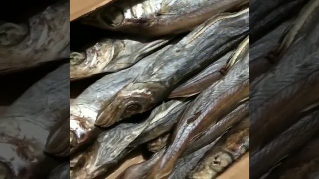 Вяленая рыба. Лучшие способы как приготовить вяленую рыбу смотреть онлайн