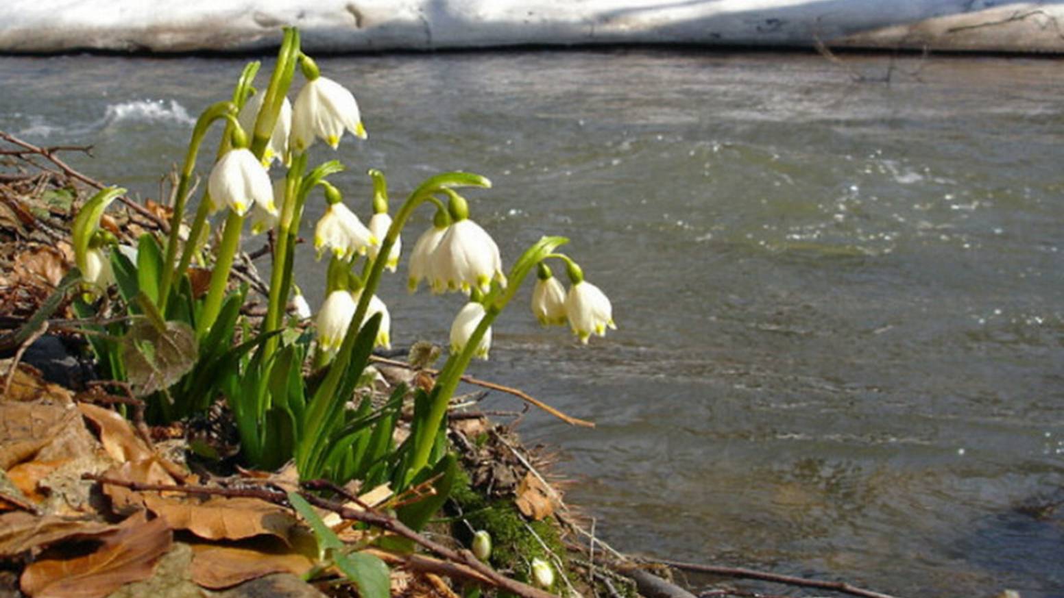 Владимир Овчинцев. Поднебесье смотреть онлайн