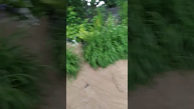 Сель в Воронцовке смотреть онлайн