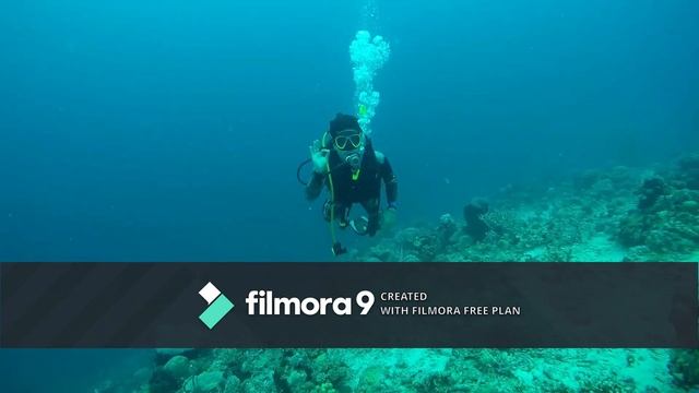 Scuba Diving Meme
