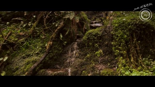 Doctor Repulsor - One Life (Official Video) смотреть онлайн