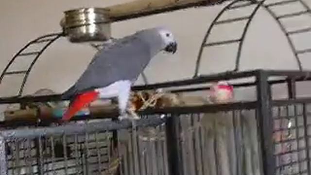 Кузя! 4 месяца! смотреть онлайн