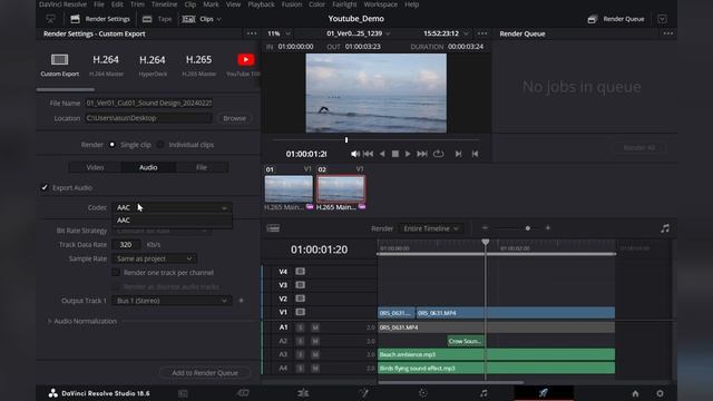 EP 15 How to EXPORT (Video or Audio) using DaVinci Resolve 18.6 смотреть онлайн