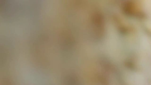 caracol de tierra смотреть онлайн