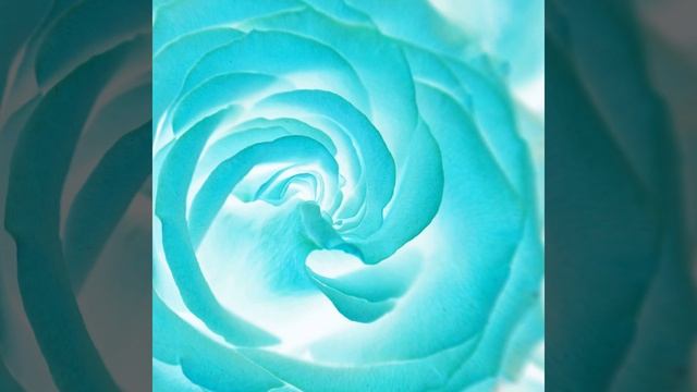 Lovely Backdrops for Spring Sunrises смотреть онлайн