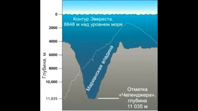 Мегалодон рядом смотреть онлайн