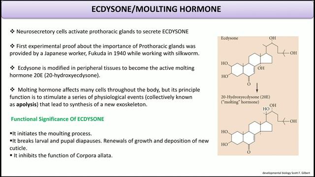 HORMONAL CONTROL OF INSECT METAMORPHOSIS смотреть онлайн