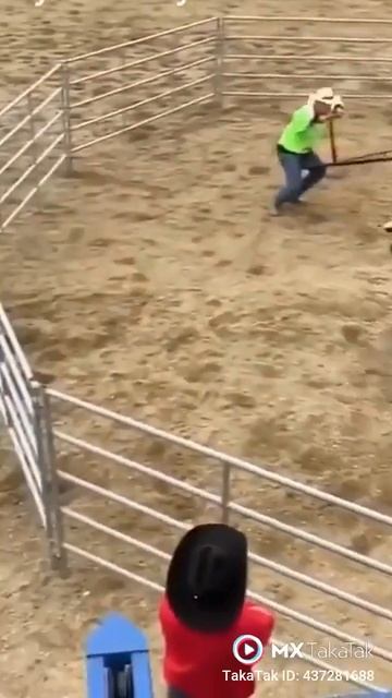 Bull fighting comady video spain смотреть онлайн