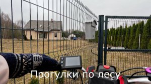 Прогулки по лесу. Еще один отзыв о цветном дисплее S866.