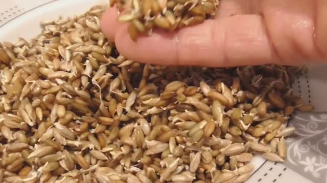 Хлеб из пророщенной ржи и семени льна смотреть онлайн