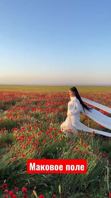 Маковое поле Дагестан смотреть онлайн