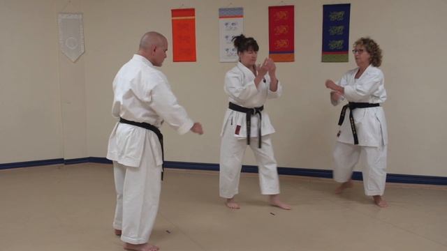 Tenshin Kata & Bunkai HD 1080p смотреть онлайн
