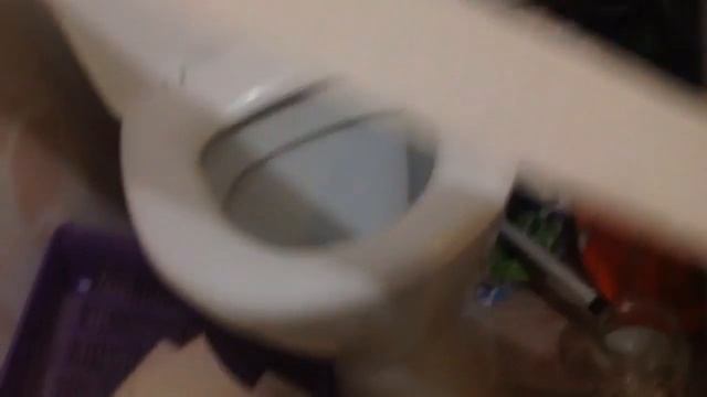 Обычный кошачий день смотреть онлайн
