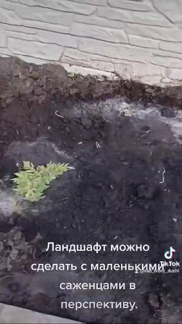 Ландшафт маленькими саженцами.Можно сделать даже с ограниченным бюджетом. смотреть онлайн