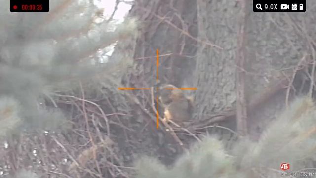 ATN X-Sight LTV - Ultra Light Day & Night Vision Rifle Scope смотреть онлайн