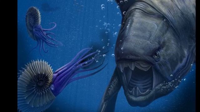 Cephalopod Documentary (iDig Project, 2016) смотреть онлайн