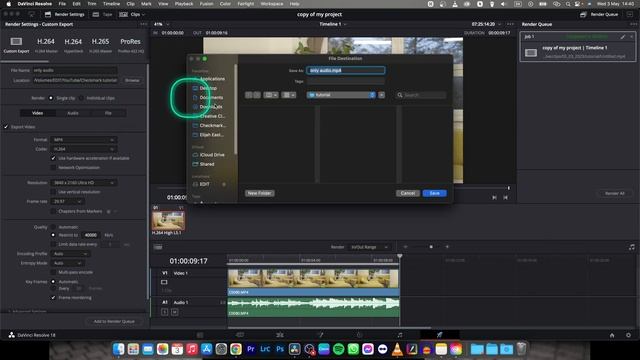 How To Export Audio Only in Davinci Resolve 18 | Extract Audio Only from a Video | Tutorial смотреть онлайн