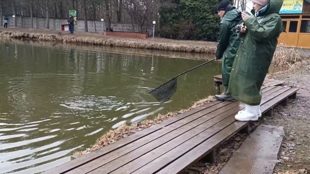 Голицыно Fish 1 апреля 2025 смотреть онлайн