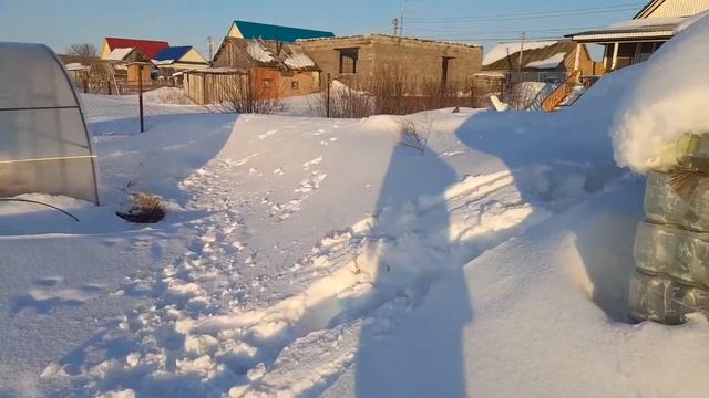 ✔Гуляем во дворе. 🎈КУПИЛИ ОТЛИЧНЫЙ 👍МАНГАЛ!!!🍽 смотреть онлайн