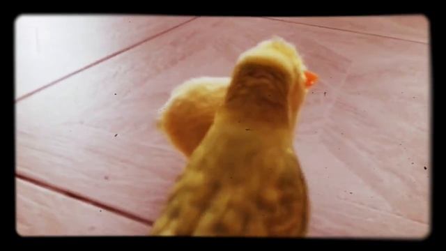 Настоящия любовь💋❤досмотри до конца! смотреть онлайн