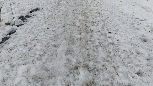 Прогулка (Kdenlive) смотреть онлайн