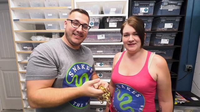 Part 3 Ball Python Pick-Ups from DexoticS!! смотреть онлайн