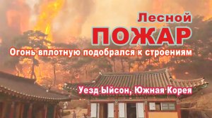 Огонь вплотную подобрался к строениям в уезде Ыйсон, Южная Корея.