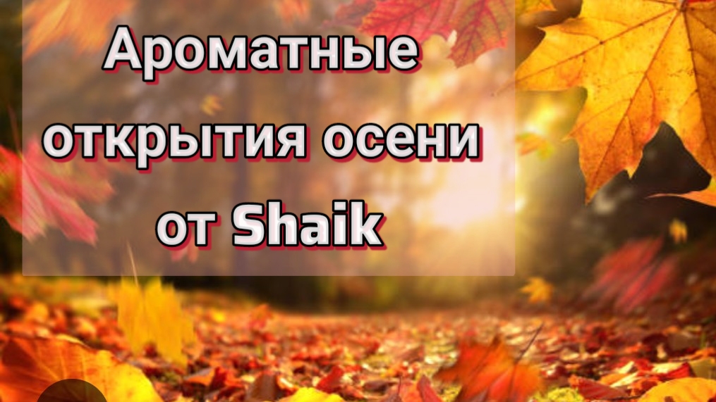 Обзор ароматов от Shaik