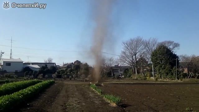 Торнадо на огороде смотреть онлайн