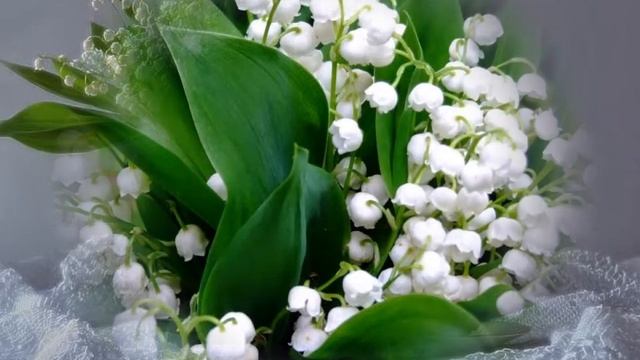 Веселых ландышей жемчужины смотреть онлайн