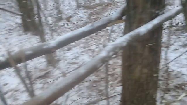 Делаю дом на дереве смотреть онлайн