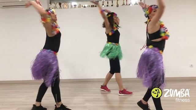 ZUMBA - LA VIDA ES UN CARNAVAL,  MALUMA